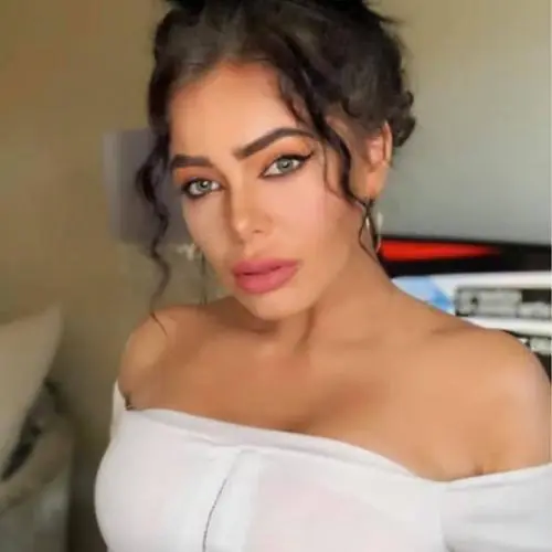 modepu image 1